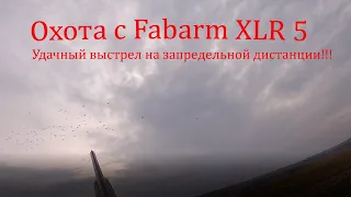 Охота с Fabarm XLR 5, удачный выстрел на запредельной дистанции!!!