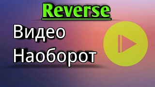 ВИДЕО НАОБОРОТ,ПОПРОБУЙ НЕЗАЛИПНУТЬ|Video Reverse