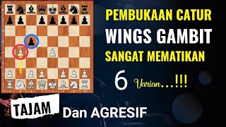 PEMBUKAAN CATUR MEMATIKAN | Wings Gambit | 6 varian penuh Trik tajam dan Agresif !!