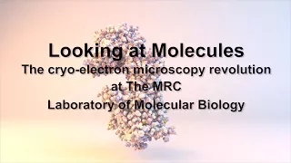 Looking at Molecules: The electron cryo-microscopy revolution at the MRC LMB