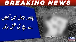 Peshawar: Tehkal  main kheto say bachy ki nash baramad