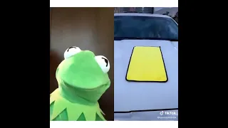 Funny Kermit the frog videos of 2020 (Part 2)
