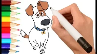 The Secret Life of Pets 2 Learning to draw Max (Тайная жизнь домашних животных 2: Рисуем Макса)