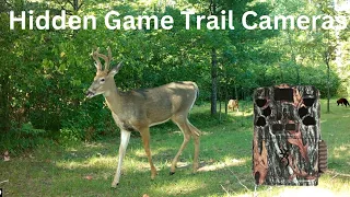 GAME TRAIL VIDEOS - Chequamegon-Nicolet National Forest (FULL YEAR)