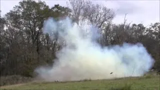 Lovelady Pig Explosion