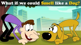 What if we could Smell like a Dog? + more videos | #aumsum #kids #children #education #whatif