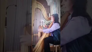 "Starry,starry Night"-D.McLean song about Vincent van Gogh #harp #harpist #popmusic #songcover