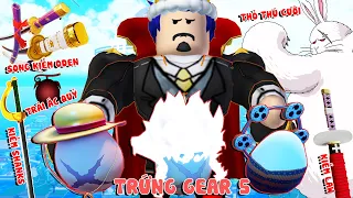 Roblox - TÌM TRỨNG GEAR 5 ĐỔI THÚ CƯỠI TRÁI ÁC QUỶ VÀ VŨ KHÍ HUYỀN THOẠI CỰC HIẾM - A One Piece Game