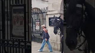 Tourist straightens the sign #thekingsguard