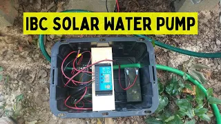 Solar IBC Water Pump || CHEAP Solar Pump Setup || DIY Project