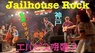 Elvis Presley「Jailhouse Rock」(cover by NG-Ken Band) at チキンジョージ in 神戸 2020年2月16日