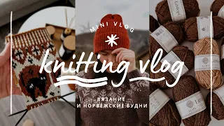 vlog 16/24 | довязала свитер Taiga 🧶 готовые работы и планы ✨️ вяжу жаккардовые носки с котами