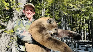 Idaho Mountain Lion Hunt - Stuck N The Rut 173