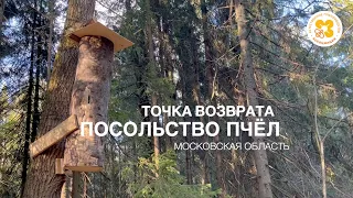 Точка возврата — «Посольство пчёл»