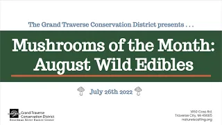 Mushrooms of the Month: August Wild Edibles