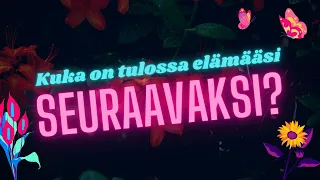 ✮☯ Kuka on tulossa elämääsi seuraavaksi? | Valitse pakka | Ajaton tulkinta ☯✮