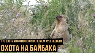 Охота на байбака / Про охоту и охотников с Валерием Кузенковым. Сезон 1