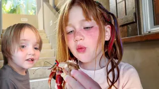 SURPRiSE CRAB and Beach Birthday Party!!  Adley & Niko find animals! our last day of family trip fun