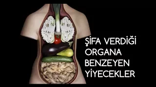 ŞİFA VERDİĞİ ORGANA BENZEYEN YİYECEKLER