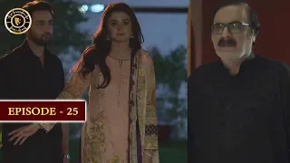 Do Bol Episode 25 | Top Pakistani Drama