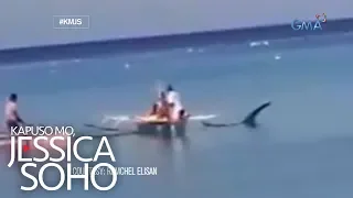 Kapuso Mo, Jessica Soho: Pinaniniwalaang halimaw sa karagatan ng Aklan, totoo nga ba?