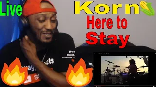 First Time Hearing Korn - Here To Stay (Live @ Rock am Ring 2006) - Reaction Video