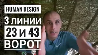 Дизайн Человека 23 и 43 ворота. 3 линии. Даниил Трофимов. Human Design