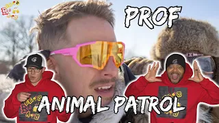 PROF SLAYING IT LIKE THIS?!?! | Prof - Animal Patrol Reaction