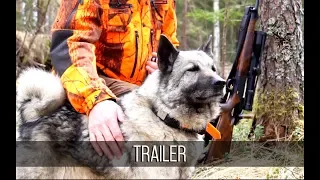 NH: TRAILER | Moose Hunting 2017