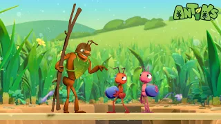 Knight Fight ⚔️ | ANTIKS | Moonbug Kids - Funny Cartoons and Animation