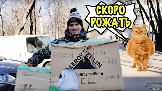 ПОСТРОИЛИ КАРТОННЫЙ РОДДОМ ДЛЯ УЛИЧНЫХ БЕРЕМЕННЫХ КОШЕК DIY