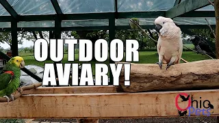 Check Out Our Outdoor Aviary with our Cockatoo African Grey Amazon Quaker Parrots and Conures