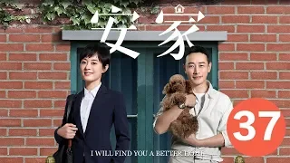 【安家 I will find you a better home】 Ep37 职场女王孙俪vs佛系店长罗晋