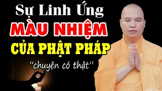 XÚC ĐỘNG CÂU CHUYỆN Sự Linh Ứng Màu Nhiệm Của Phật Pháp (chuyện có thật) - Thầy Thích Đạo Thịnh