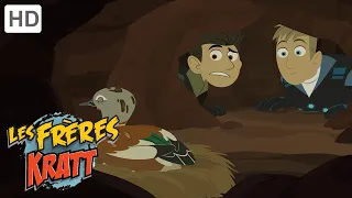 Les Frères Kratt |Ville D'Aardvark| Saison 1