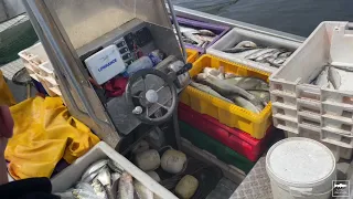 Verslinė žvejyba