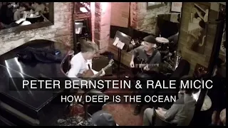 How Deep Is The Ocean - Peter Bernstein and Rale Micic #peterbernstein #ralemicic