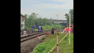 poor ducks got hit by a train The stupid duck herder crosses the chariot carelessly