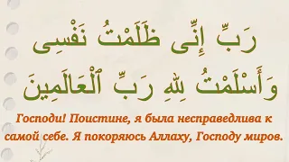 Дуа Сабейской царицы 💍 Сура «Муравьи», аят 44. Выпуск 86.