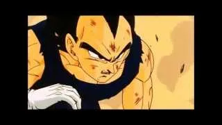 Vegeta Finalmente Compreendeu