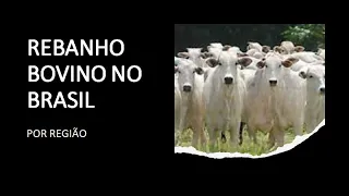 REBANHO BOVINO BRASILEIRO - POR REGIÃO