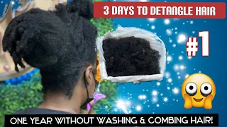One year without washing & combing hair!