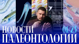 Тирекс умён как бабуин | Птерозавр-фильтратор | Лапки синапсид | Пчёлы обманули палеонтологов