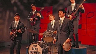 THE BEAU BRUMMELS- "LAUGH, LAUGH"(LYRICS)