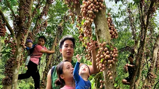 FULL VIDEO : 145 days of fruit garden harvesting going to the market to sell | build a family home