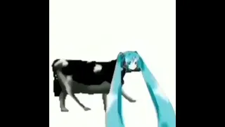 Miku el gobierno poke ma xd