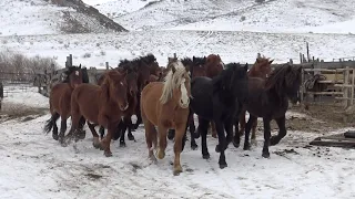 В ожидании весны