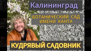 КУДРЯВЫЙ САДОВНИК ( Калининград) обзор БОТАНИЧЕСКИЙ САД ИМЕНИ ИММАНУИЛА КАНТА