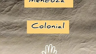 Mendoza Colonial 1