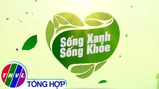 THVL | Sống xanh sống khỏe - Kỳ 8: Tăng cường lưu thông máu huyết